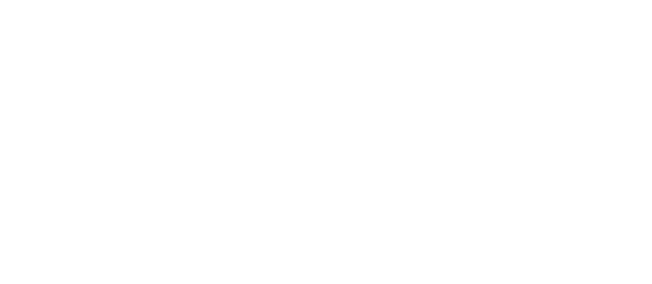 Northern Beaches Council logo - wave symbol