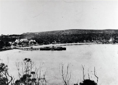 Manly Cove, showing wharf and paddle-steamer