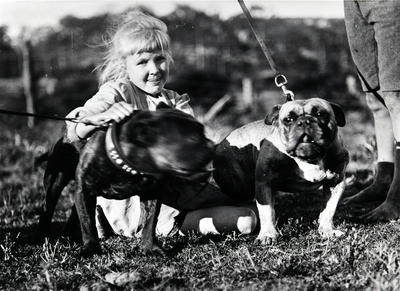 Child and two dogs