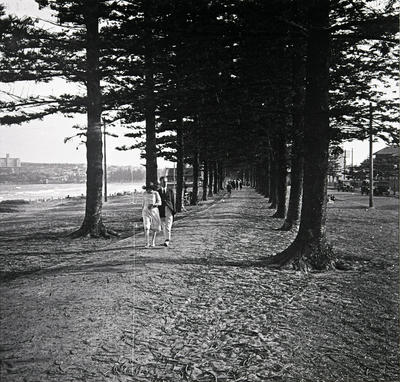 Along North Steyne Promenade