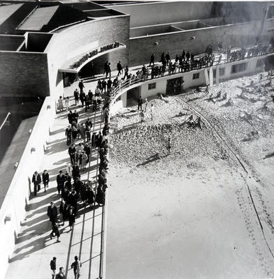 Manly Surf Pavilion from the Shark Tower