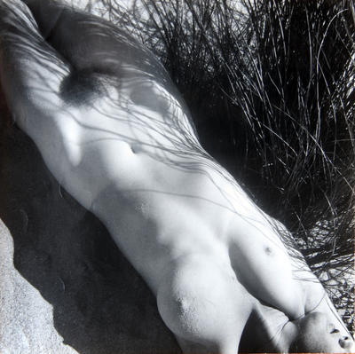 nude figure from neck to knee, lying in grass