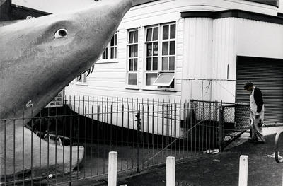 shark head at wharf