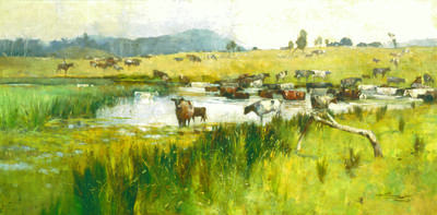 Cow pastures