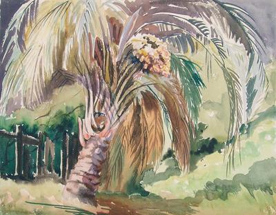 Untitled (palm tree)