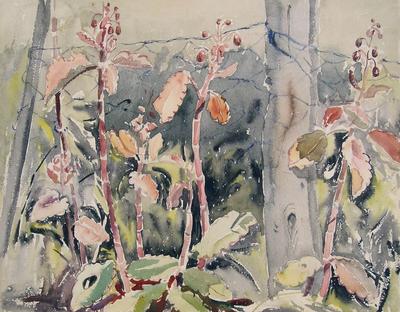 Untitled (plants)