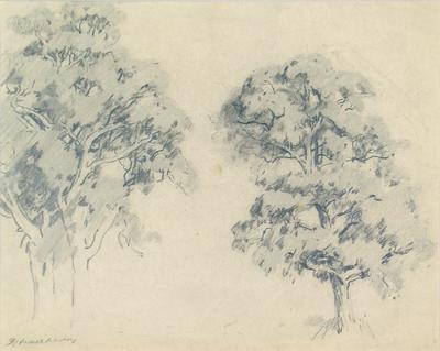 Untitled (trees)