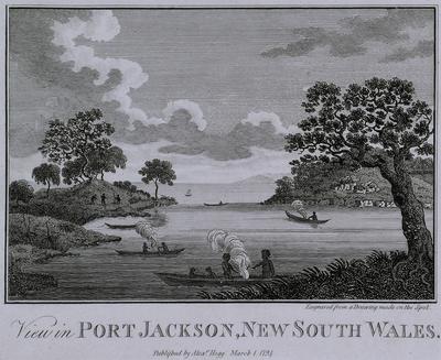 View in Port Jackson, New South Wales