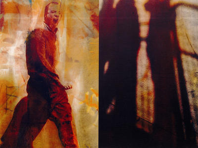 In the Shadows - diptych