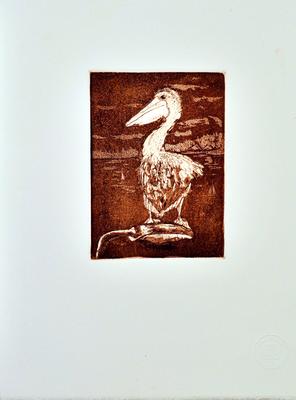 untitled - (pelican on front hard cover of book)