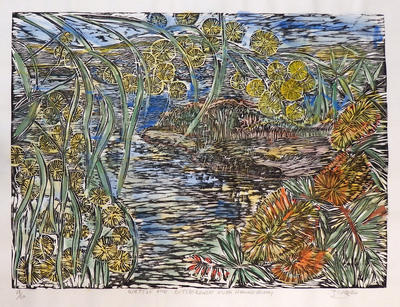 Wattle & Bottlebrush over the Hawkesbury - Days of Summer Series 19/20ed