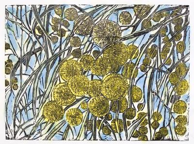 Flowering Wattle at Noon - Days of Summer Series 19/20 ed