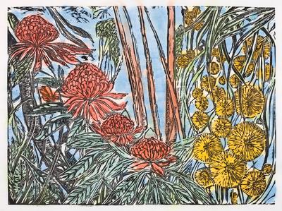 Waratahs with Wattle - Days of Summer Series 19/20 ed