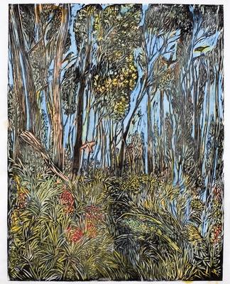 Hawkesbury Wattle & Bowerbird - Days of Summer Series 19/20 ed