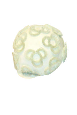 Bathing cap rubber, white, clover shaped spike decoration overall, suction band inner rim, machine made