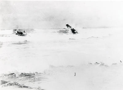 Surf-boats during a surf carnival