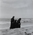 Three nuns walking on Newport Beach