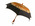 Parasol with wooden central rod orange brown and cream striped canopy with flowers blue band metal frame orange painted handle with rope British make steep dome shape