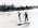 Two surfboard-riders riding a wave at South Steyne with the beach and pine trees in the background taken from the water